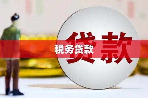 坪山新区税务贷款
