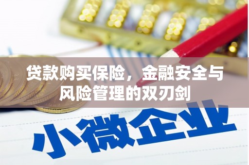 坪山新区贷款购买保险，金融安全与风险管理的双刃剑