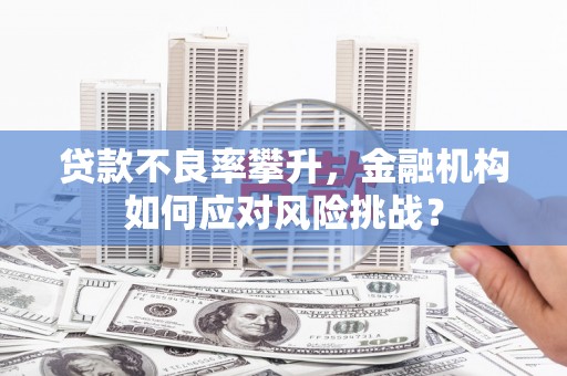 坪山新区贷款不良率攀升，金融机构如何应对风险挑战？