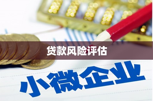 坪山新区贷款风险评估