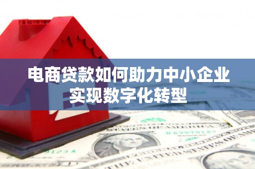 坪山新区电商贷款如何助力中小企业实现数字化转型