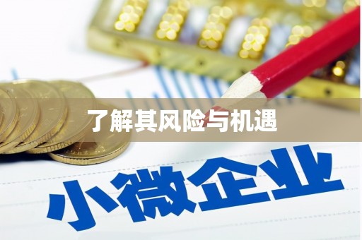 坪山新区了解其风险与机遇