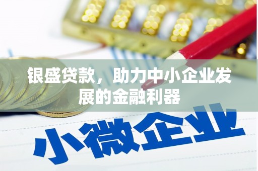 坪山新区银盛贷款，助力中小企业发展的金融利器
