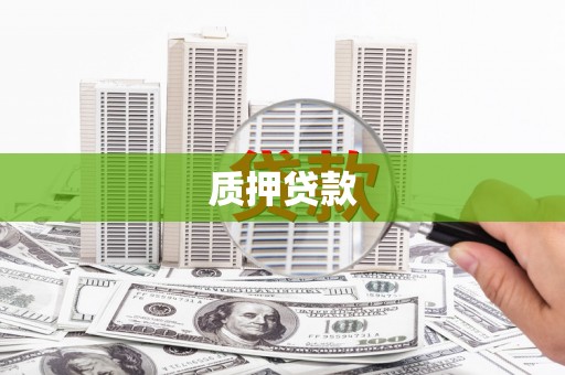 坪山新区质押贷款