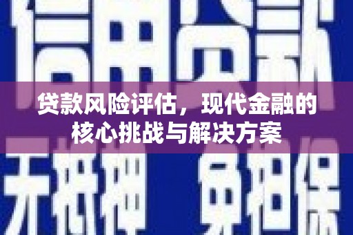 坪山新区贷款风险评估，现代金融的核心挑战与解决方案