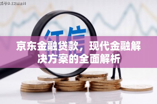 坪山新区京东金融贷款，现代金融解决方案的全面解析