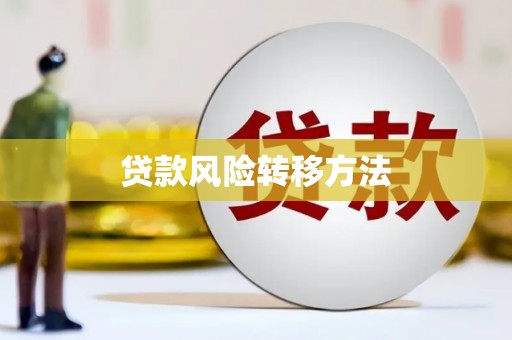 坪山新区贷款风险转移方法