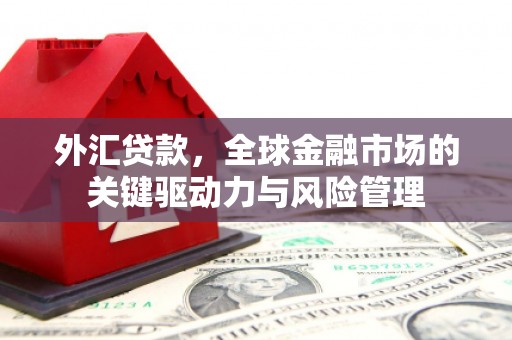 坪山新区外汇贷款，全球金融市场的关键驱动力与风险管理