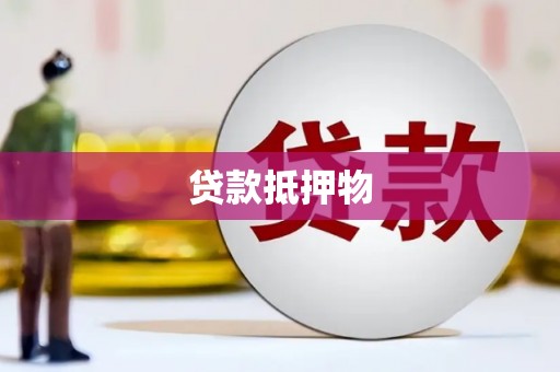 坪山新区贷款抵押物