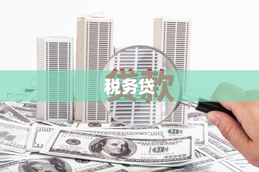 坪山新区税务贷