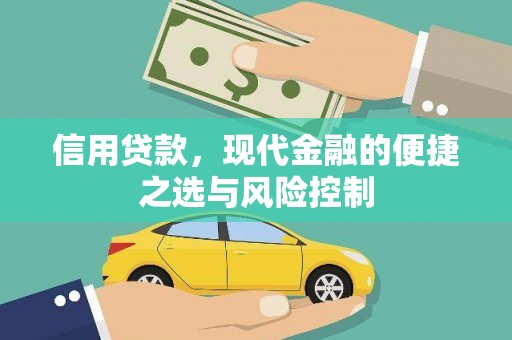 坪山新区信用贷款，现代金融的便捷之选与风险控制