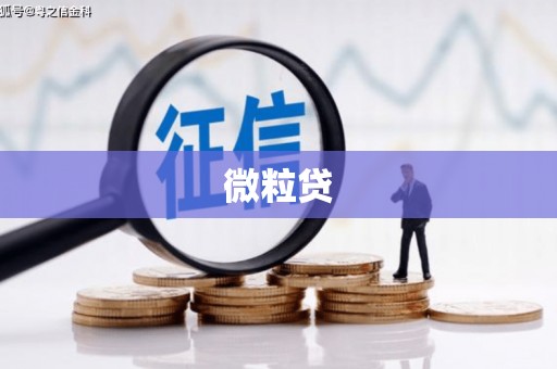坪山新区微粒贷