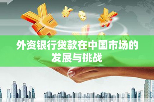 坪山新区外资银行贷款在中国市场的发展与挑战