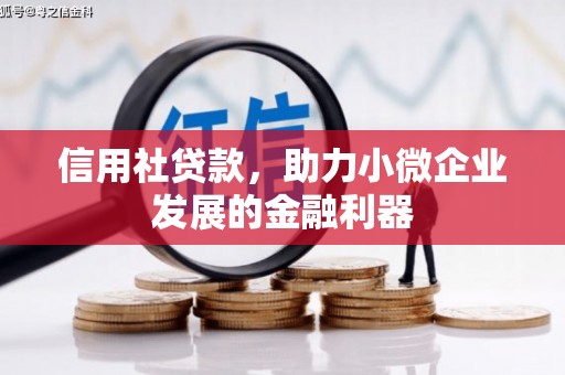 坪山新区信用社贷款，助力小微企业发展的金融利器