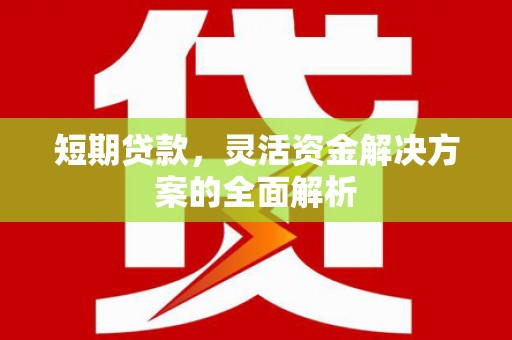 坪山新区短期贷款，灵活资金解决方案的全面解析