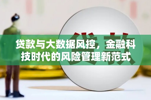 坪山新区贷款与大数据风控，金融科技时代的风险管理新范式