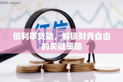 坪山新区低利率贷款，解锁财务自由的关键策略