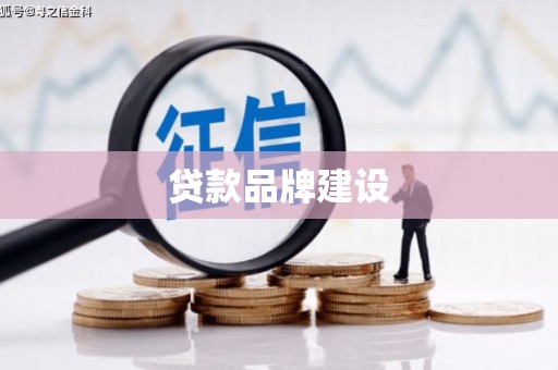 坪山新区贷款品牌建设