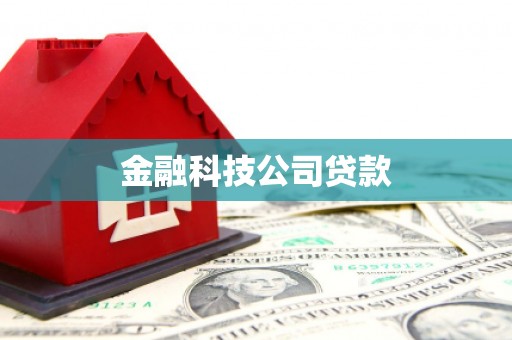 坪山新区金融科技公司贷款
