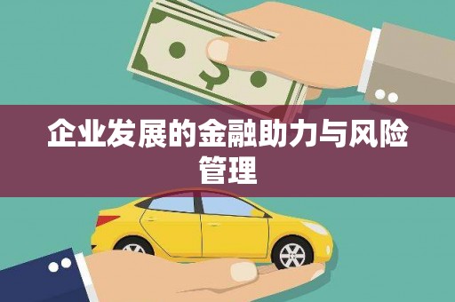 坪山新区企业发展的金融助力与风险管理