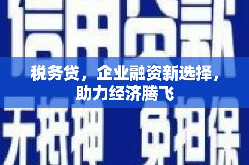 坪山新区税务贷，企业融资新选择，助力经济腾飞