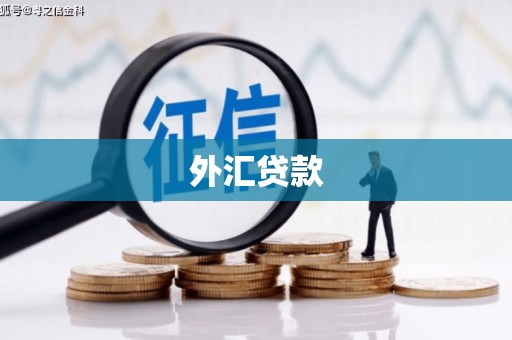 坪山新区外汇贷款