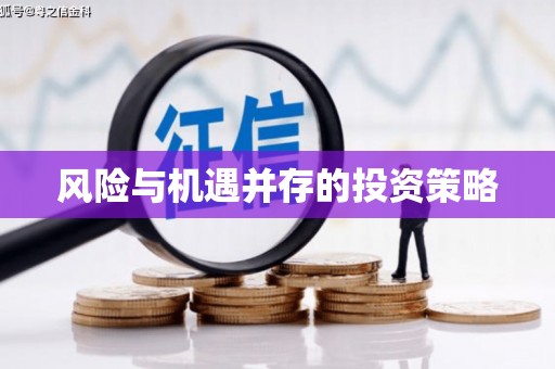 坪山新区风险与机遇并存的投资策略