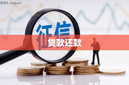 坪山新区贷款还款