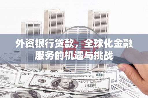 坪山新区外资银行贷款，全球化金融服务的机遇与挑战