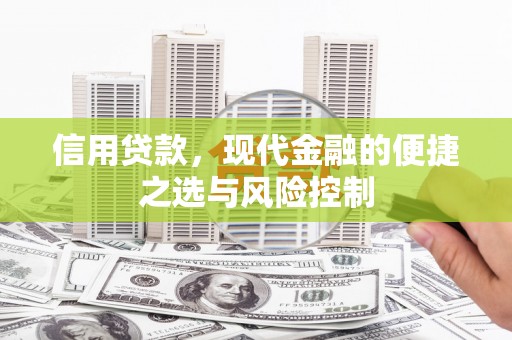 坪山新区信用贷款，现代金融的便捷之选与风险控制
