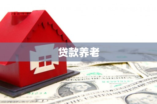 坪山新区贷款养老