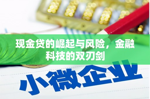 坪山新区现金贷的崛起与风险，金融科技的双刃剑