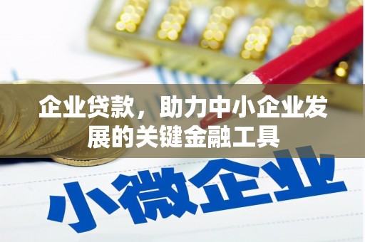 坪山新区企业贷款，助力中小企业发展的关键金融工具