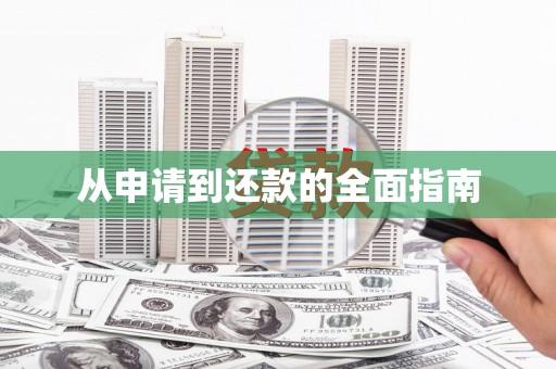 坪山新区从申请到还款的全面指南