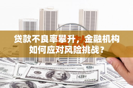 坪山新区贷款不良率攀升，金融机构如何应对风险挑战？