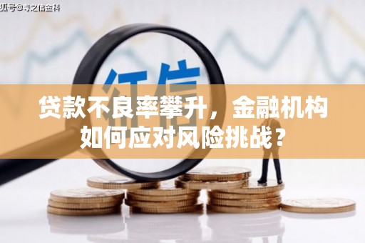 坪山新区贷款不良率攀升，金融机构如何应对风险挑战？