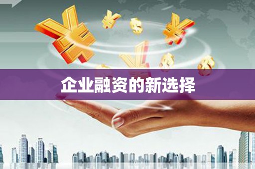 坪山新区企业融资的新选择