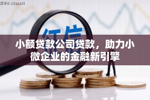 坪山新区小额贷款公司贷款，助力小微企业的金融新引擎
