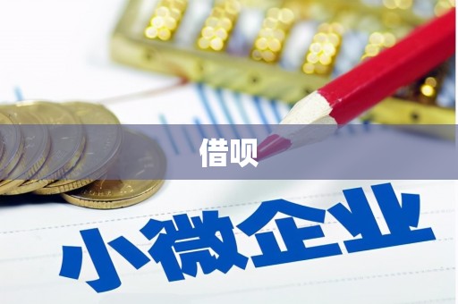 坪山新区借呗