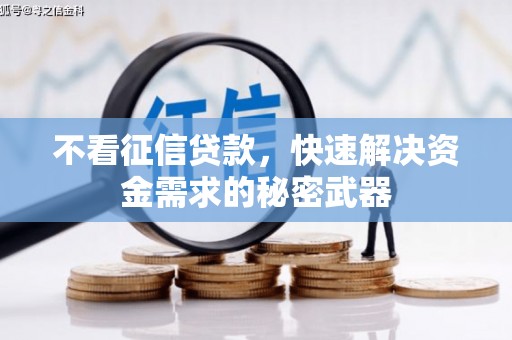 坪山新区不看征信贷款，快速解决资金需求的秘密武器