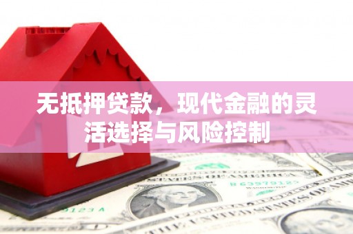 坪山新区无抵押贷款，现代金融的灵活选择与风险控制