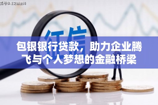 坪山新区包银银行贷款，助力企业腾飞与个人梦想的金融桥梁