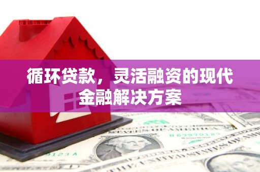 坪山新区循环贷款，灵活融资的现代金融解决方案