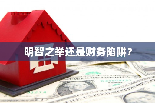 坪山新区明智之举还是财务陷阱？
