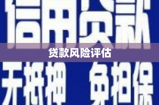 坪山新区贷款风险评估