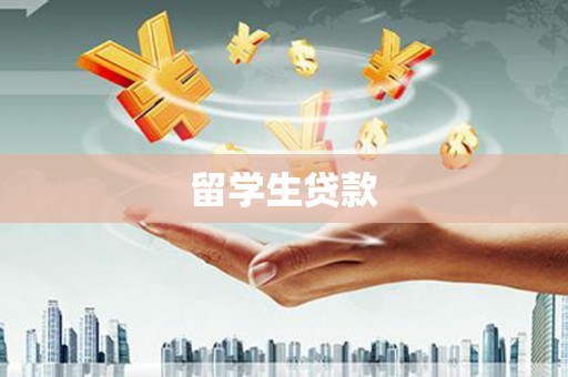 坪山新区留学生贷款