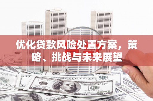 坪山新区优化贷款风险处置方案，策略、挑战与未来展望