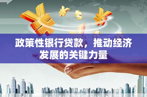 坪山新区政策性银行贷款，推动经济发展的关键力量
