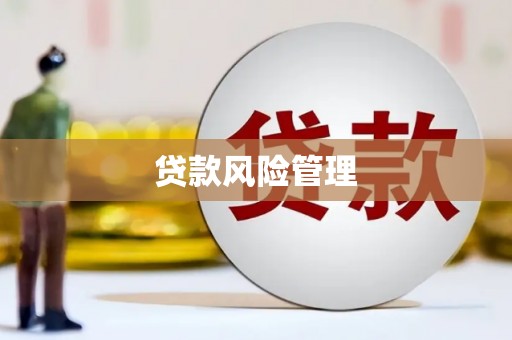 坪山新区贷款风险管理