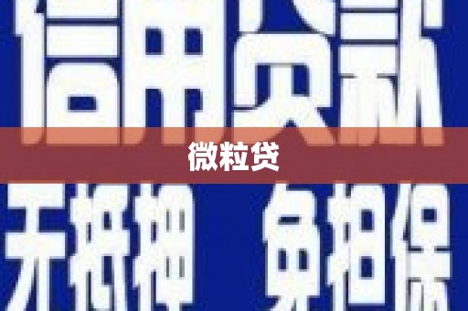 坪山新区微粒贷